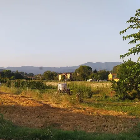 Casa Mansi Class Lucca
